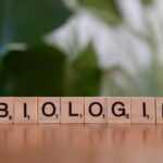 A wooden block spelling the word biologie on a table