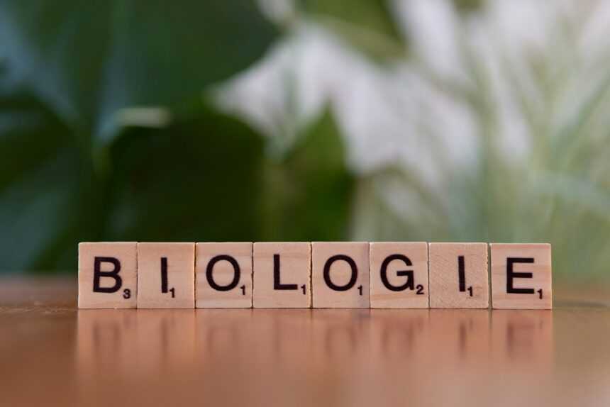 A wooden block spelling the word biologie on a table